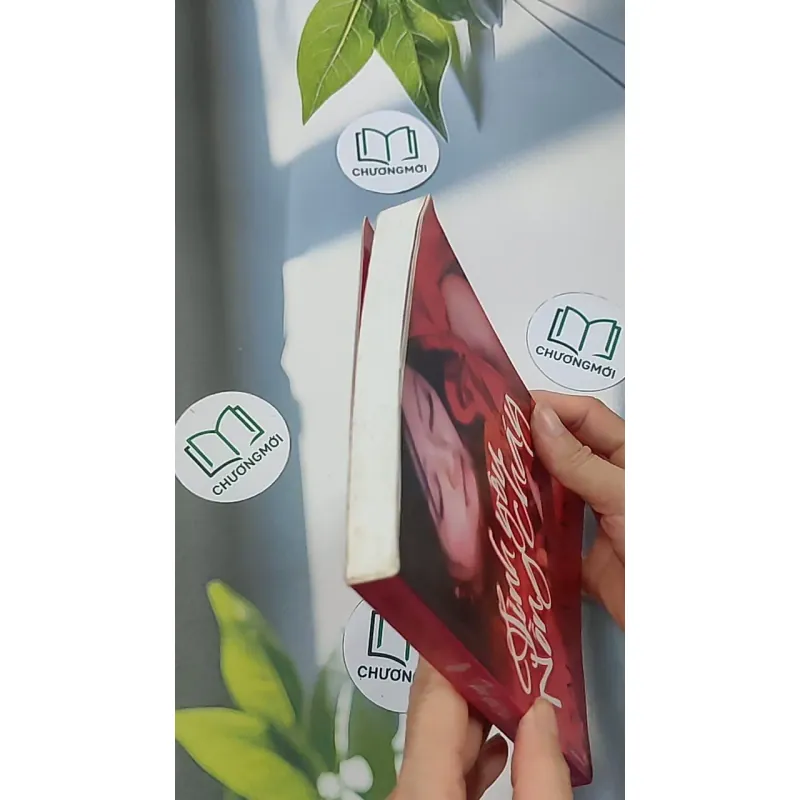 Tình yêu nồng cháy - Sái Cần Cần 688658