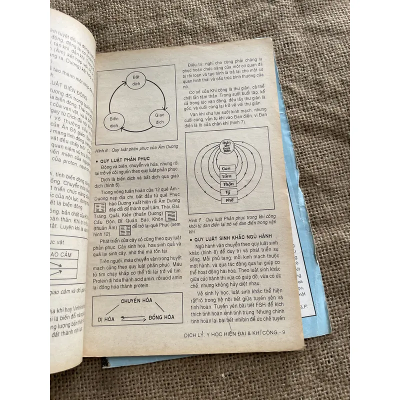 Võ thuật- dịch lý y học hiện đại và khí công ; từ Karate đến Kungfu 681187