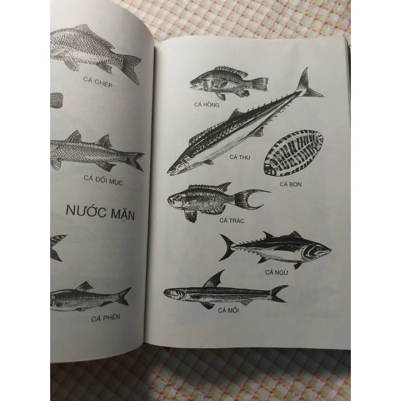 TỪ ĐIỂN SINH HỌC PHỔ THÔNG - BÌA CỨNG, KHỔ LỚN, CÓ MINH HỌA 732250