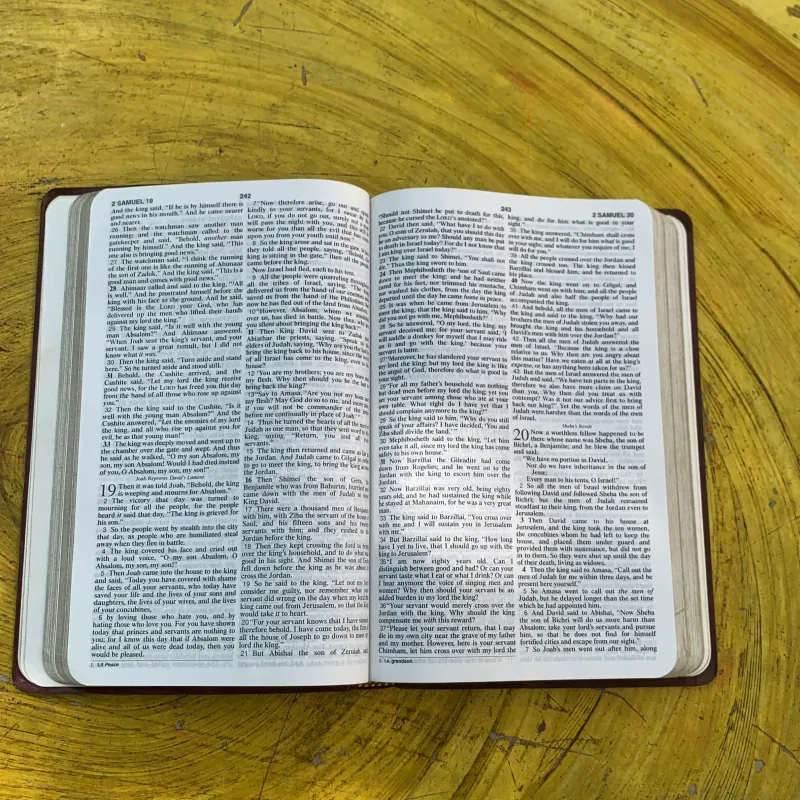  NEW AMERICAN STANDARD BIBLE - UPDATED EDITION  797305