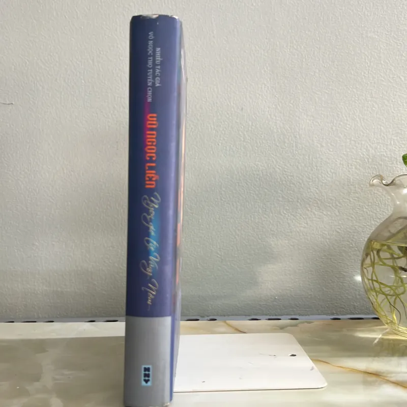 Ngọn gió từ vũng nồm 751808