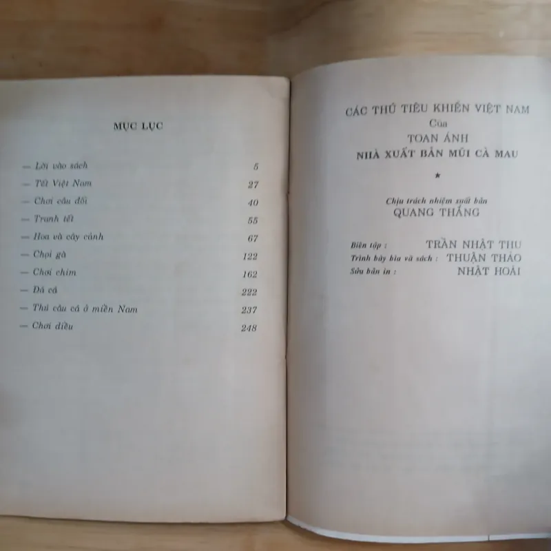 Các Thú Tiêu Khiển Việt Nam - Toan Ánh 1014829