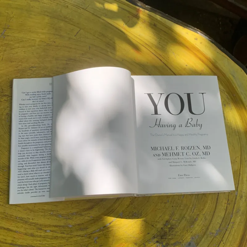 YOU HAVING A BABY - MICHAEL F. ROIZEN, MD & MEHMET C. OZ, MD 761270