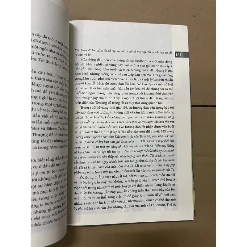 câu chuyện khu vườn Findhorn 1019583