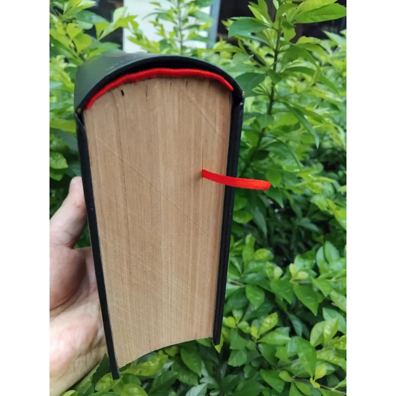 Hán Việt từ điển của Đào Duy Anh  999720