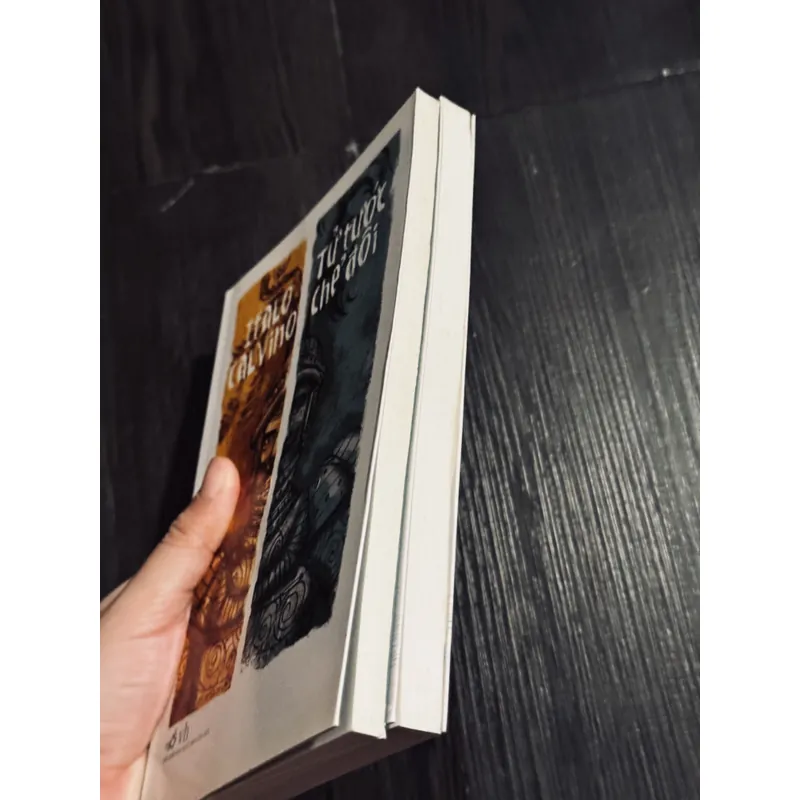 Combo Italo Calvino 706758