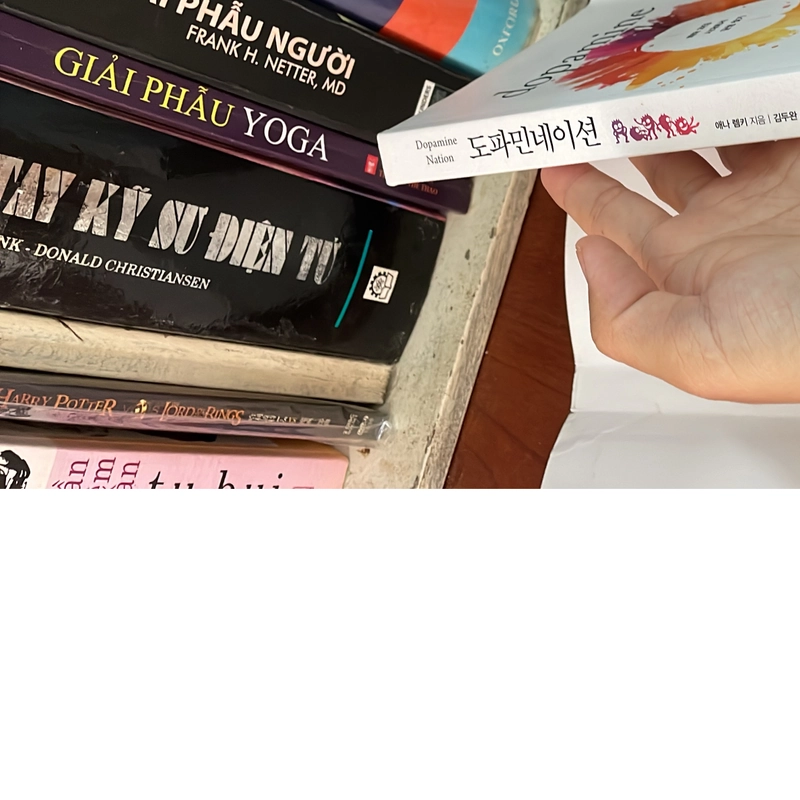 II Books: 도파민네이션 _ Dopamine Nation (쾌락 과잉 시대에서 균형 찾기) - ANNA LEMBKE 539956