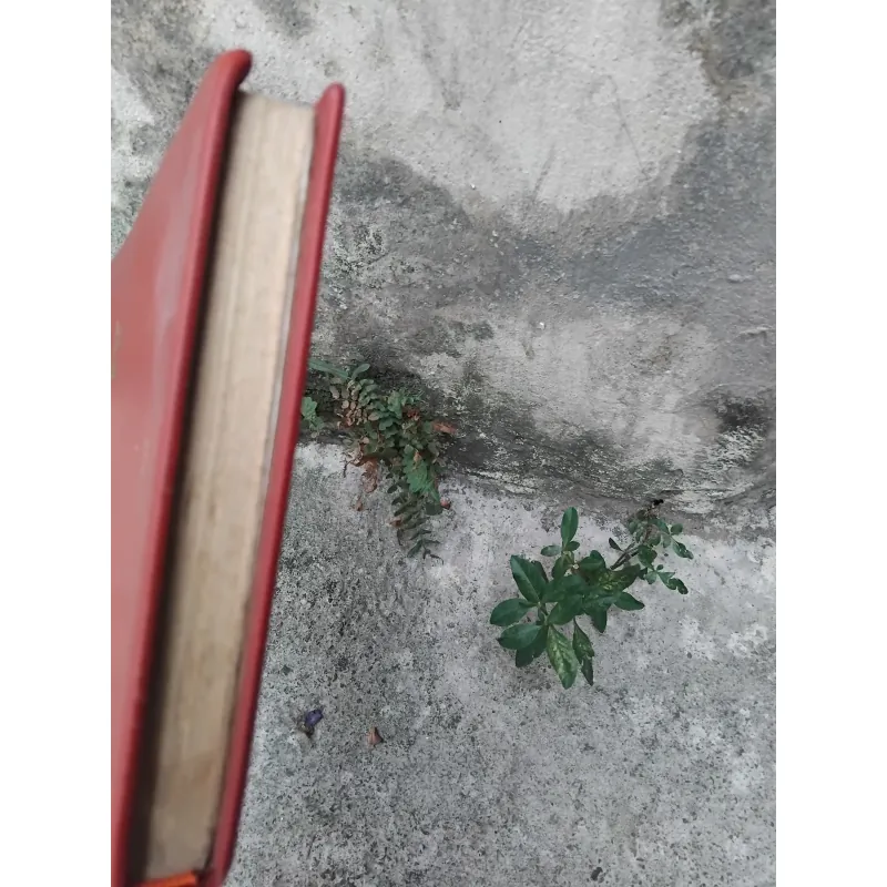 Quyền sư truyện của Trần Việt Trung  1025093