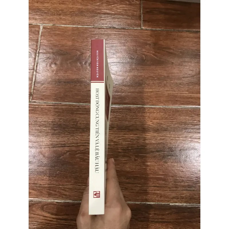 Hoạt Động Cung Tiến Và Lệ Bầu Hậu - Nguyễn Văn Nguyên (k3) 971552