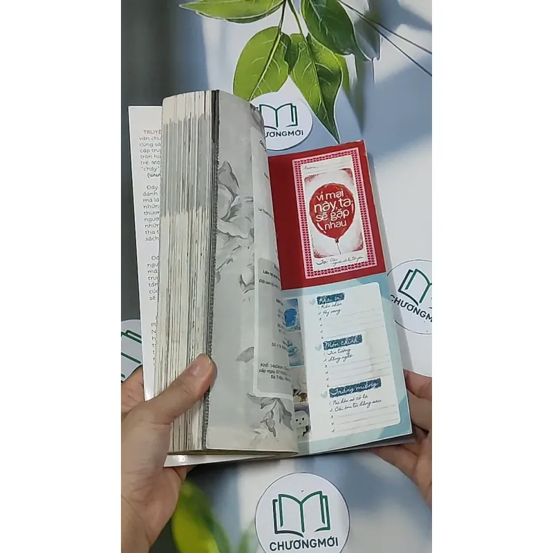 Truyện đôi Valentine 688705