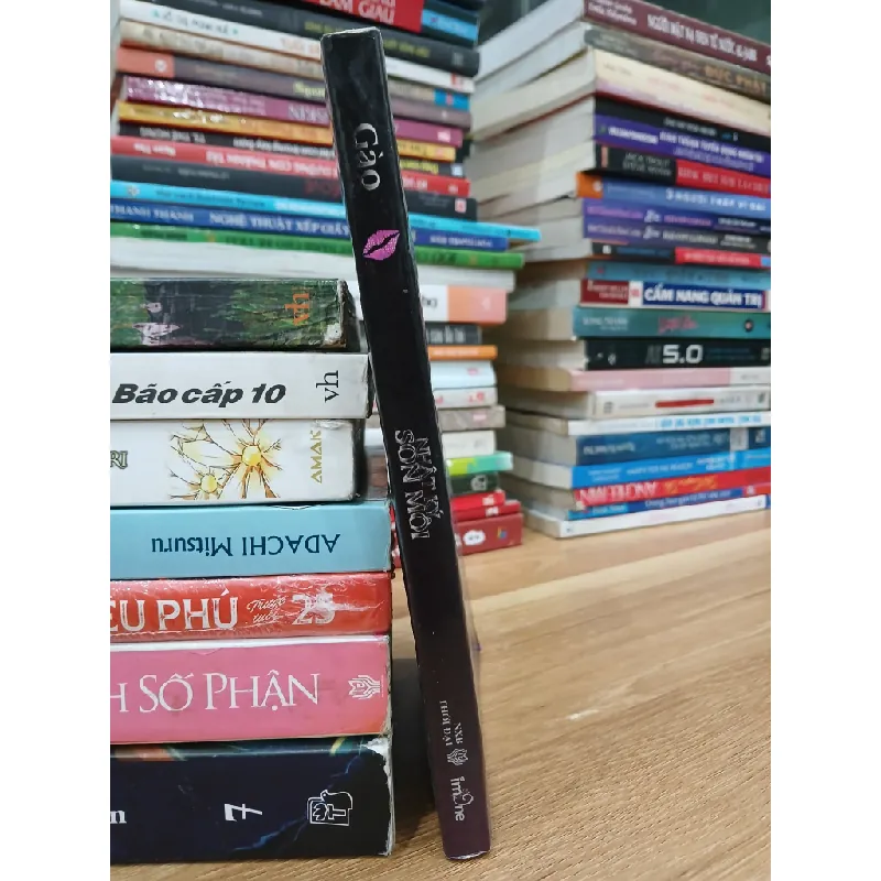 Nhật ký son môi — Gào 576808