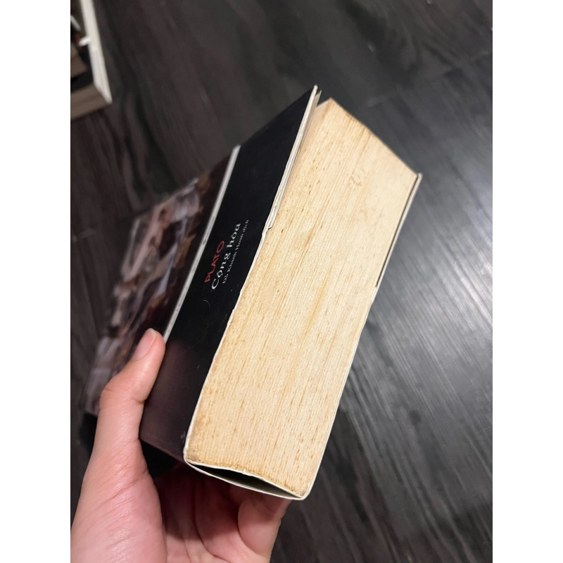 Cộng hoà - Plato (bản in 2017 tái bản có bổ sung) 303094