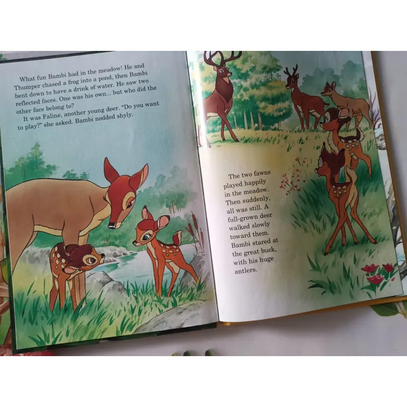 Disney's Wonderful World of Reading 1002041