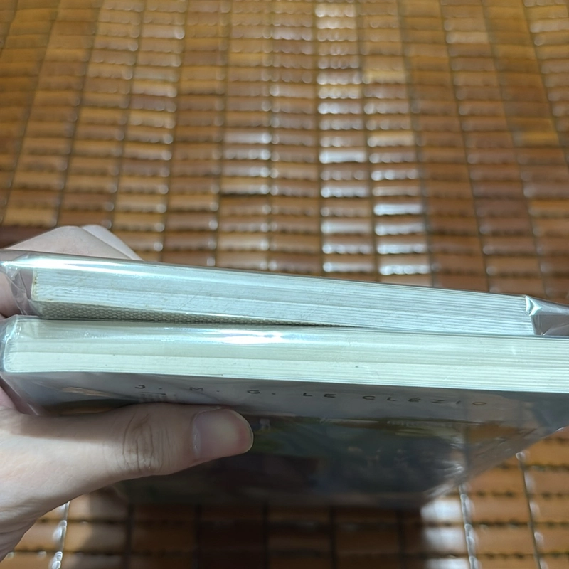 Những nẻo đường đời -Binta dưới bầu trời Seoul - J.M.G.Le Clezio 526416