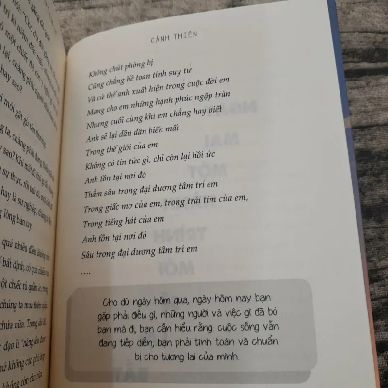 ĐỪNG lựa chọn AN NHÀN khi còn trẻ. Tg. Cảnh Thiên. Đặng Quân dịch 787381