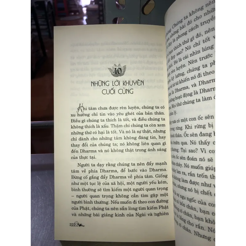 Trong vòng sinh diệt - Ajahn Chah 735839