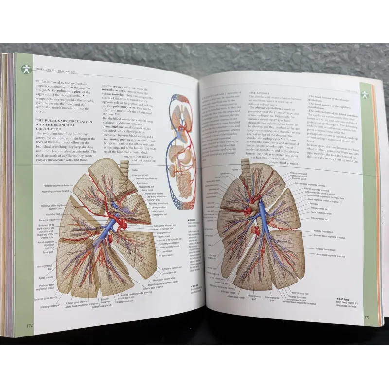 Atlas of Anatomy - Giải phẫu học 971633
