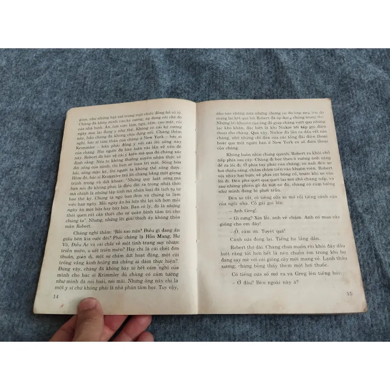 TÌM TRONG SƯƠNG CHIỀU - PATRICIA HIGHSMITH 574634