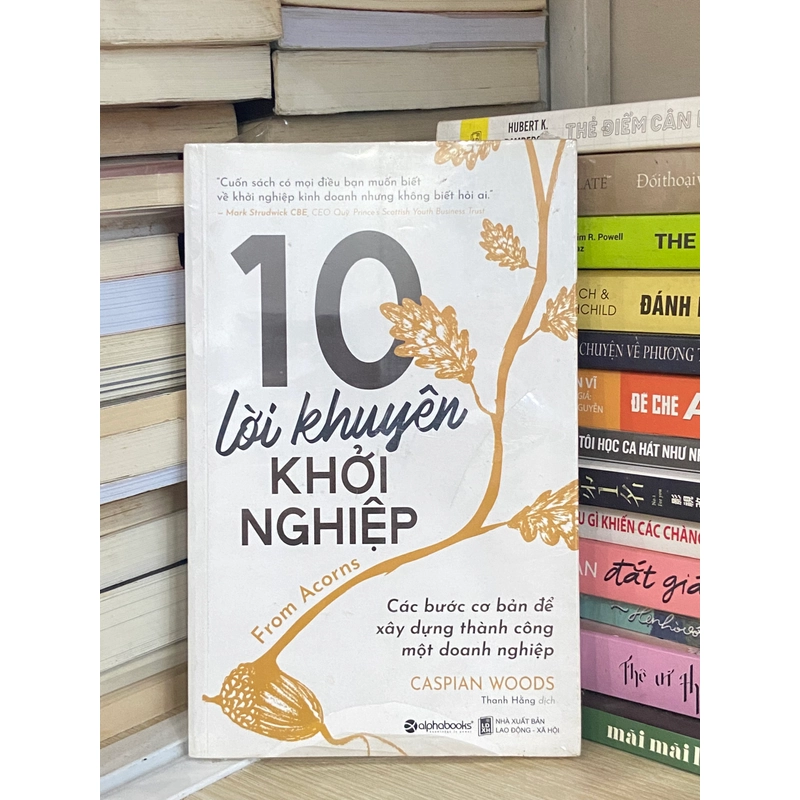 10 Lời Khuyên Khởi Nghiệp - Caspian Woods 446335