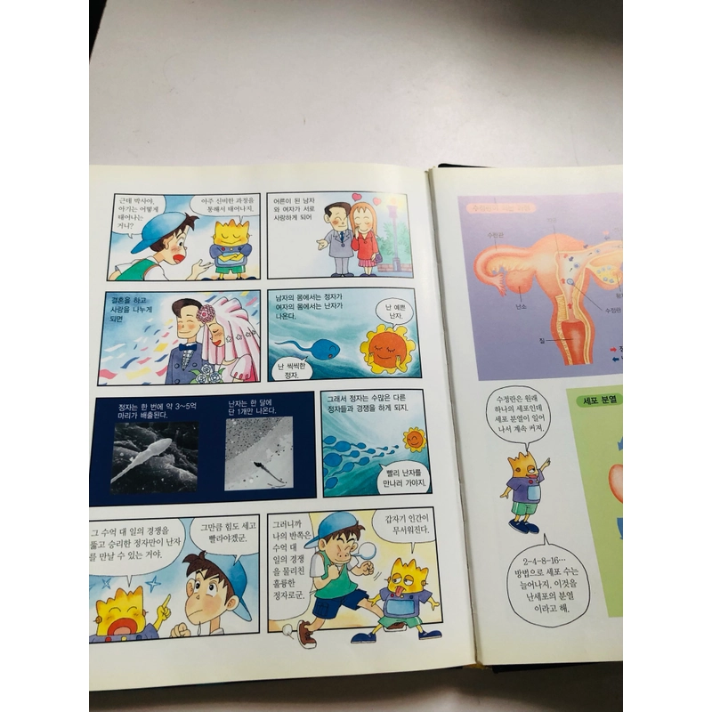 📚 TRUYỆN TRANH KHOA HỌC TIỂU HỌC TIẾNG HÀN QUỐC – TẠI SAO GIẢI PHẪU 552936
