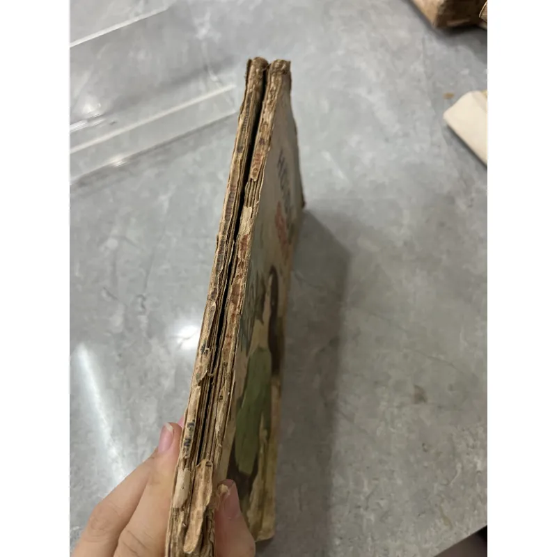 HỒI ĐÓ Ở SA KỲ - BÙI MINH QUỐC 927754