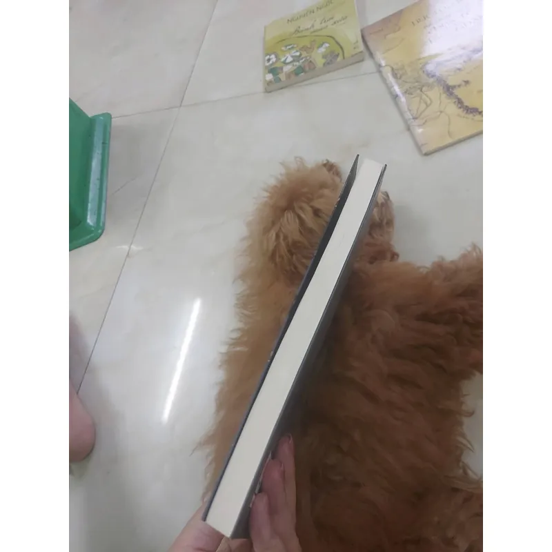 Gió lạnh đầu mùa hcm 1068302