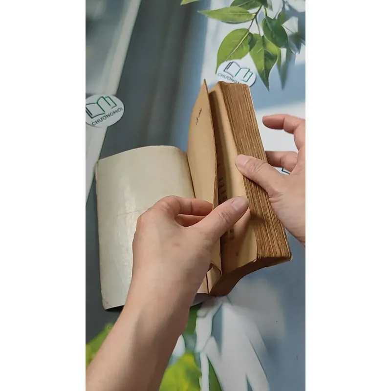 [XƯA] Lỗi Lầm (1991) - Đỗ Thị Thanh Vân 776065