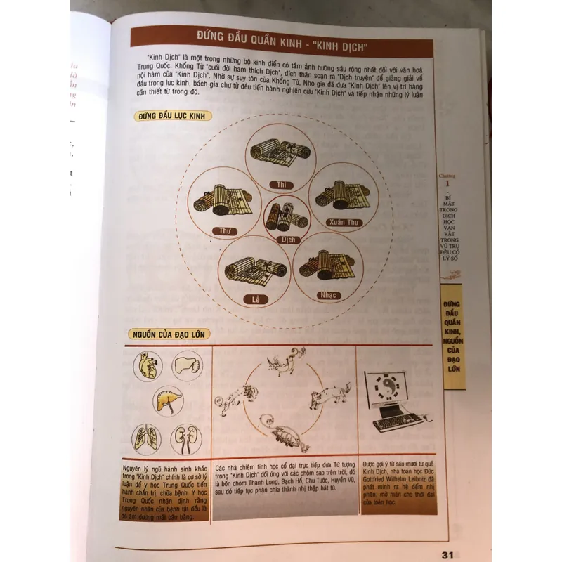 Mai hoa dịch số 719447