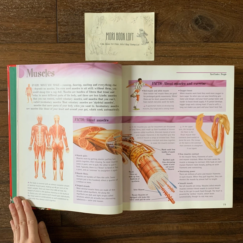 Sách ngoại văn The Big Book of Knowledge, Used, Bìa cứng, Siêu dày 542211
