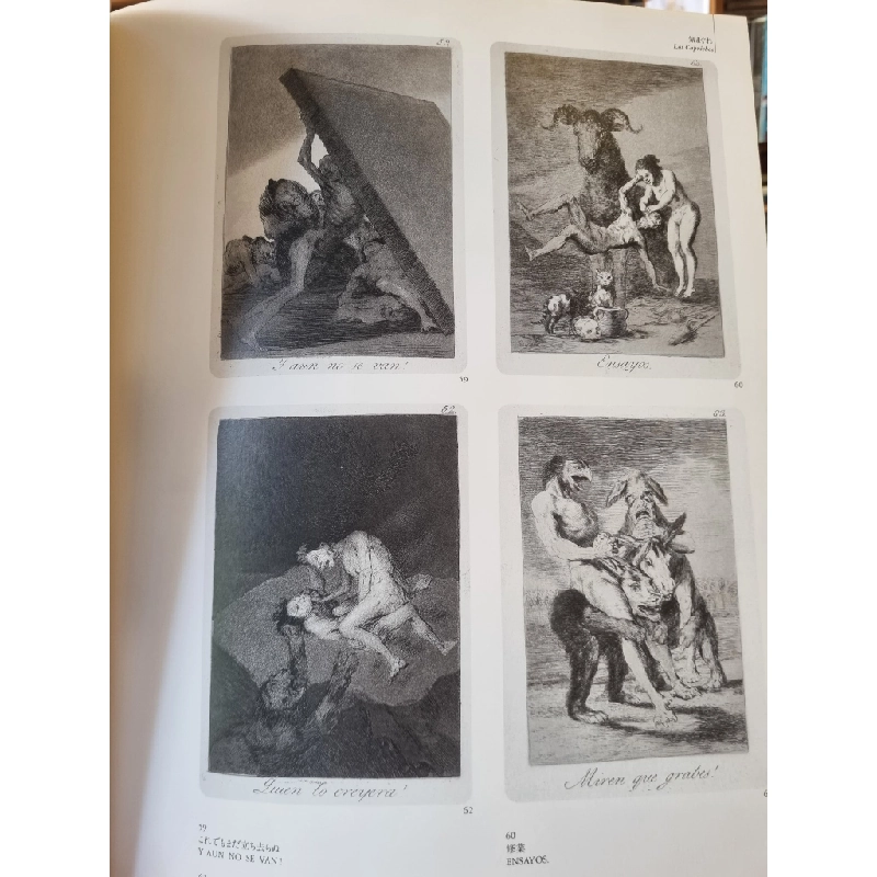 Sách tiếng Nhật 186 : Francisco De Goya Y Lucientes 363519