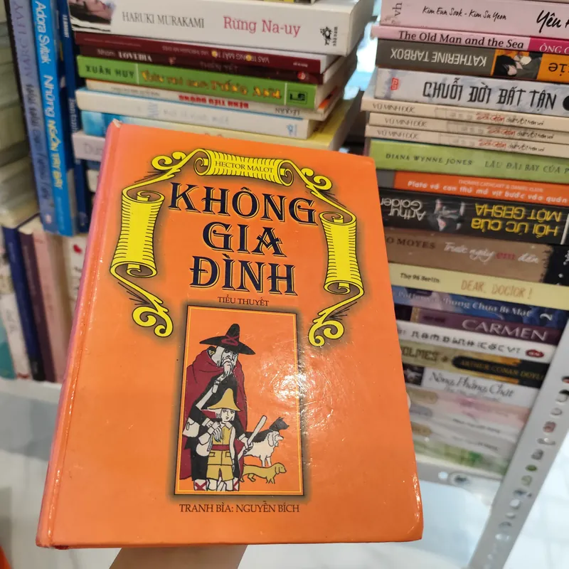 Không gia đình - Tiểu thuyết  563541