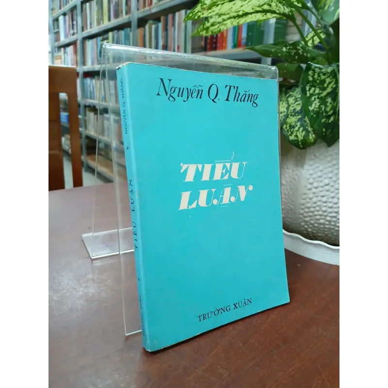 TIỂU LUẬN - NGUYỄN Q. THẮNG 703546