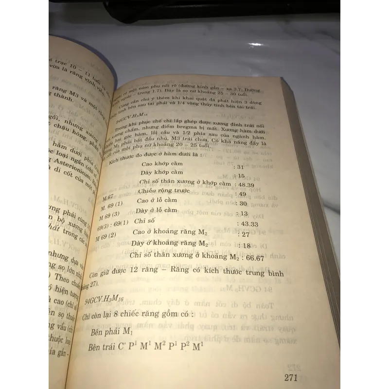 Khảo cổ học tiền sử và sơ sử Tp HCM  738099