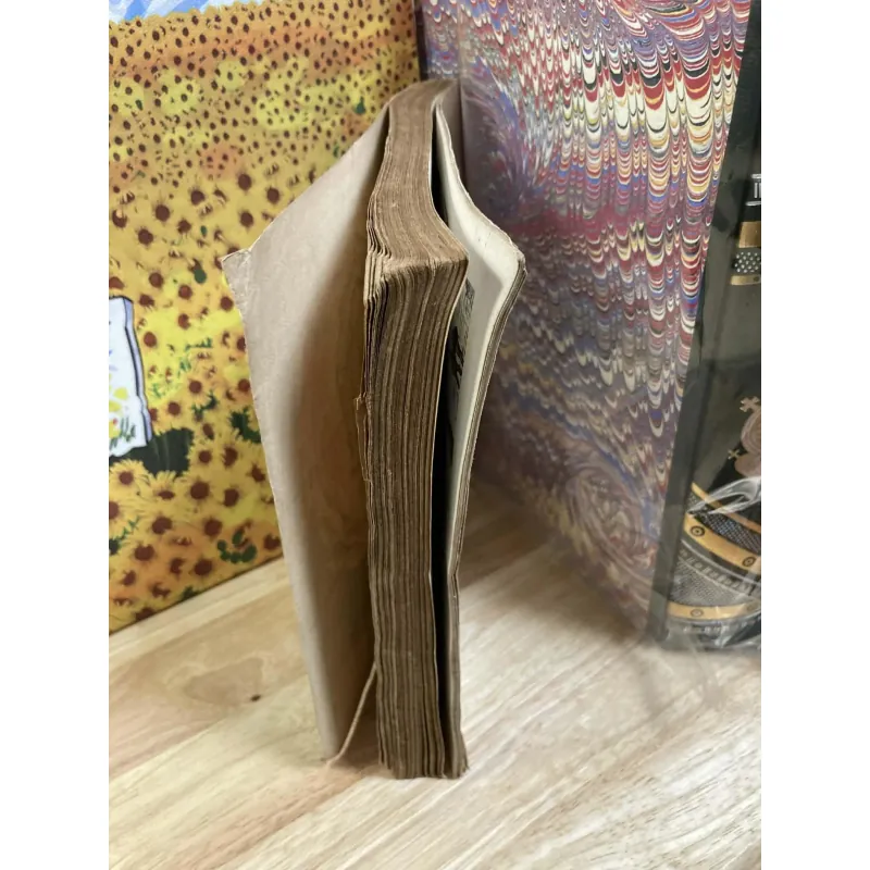 Vincent van Gogh - Lê Thanh Đức 974704