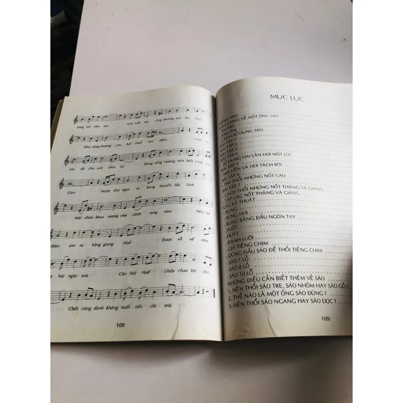 TỰ HỌC THỔI SÁO VÀ NGÂM THƠ 777975