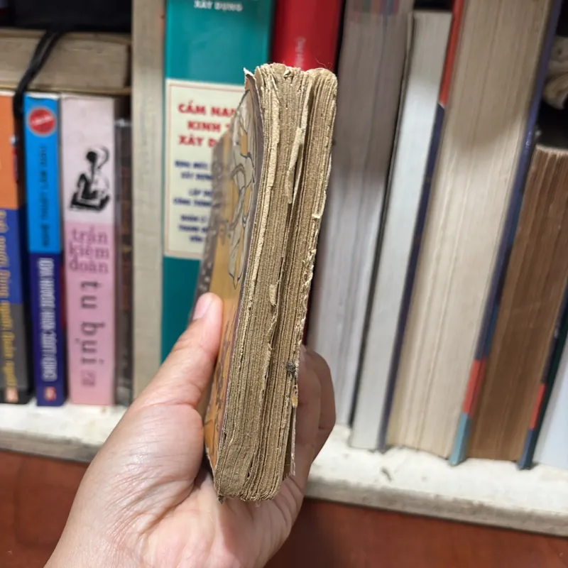 II Văn Học Nước Ngoài: Rào Chắn Cuối Cùng - Đích PhrenXít - 1983 765301