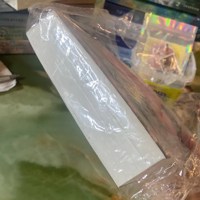 Hoa hồng sớm mai  1006947