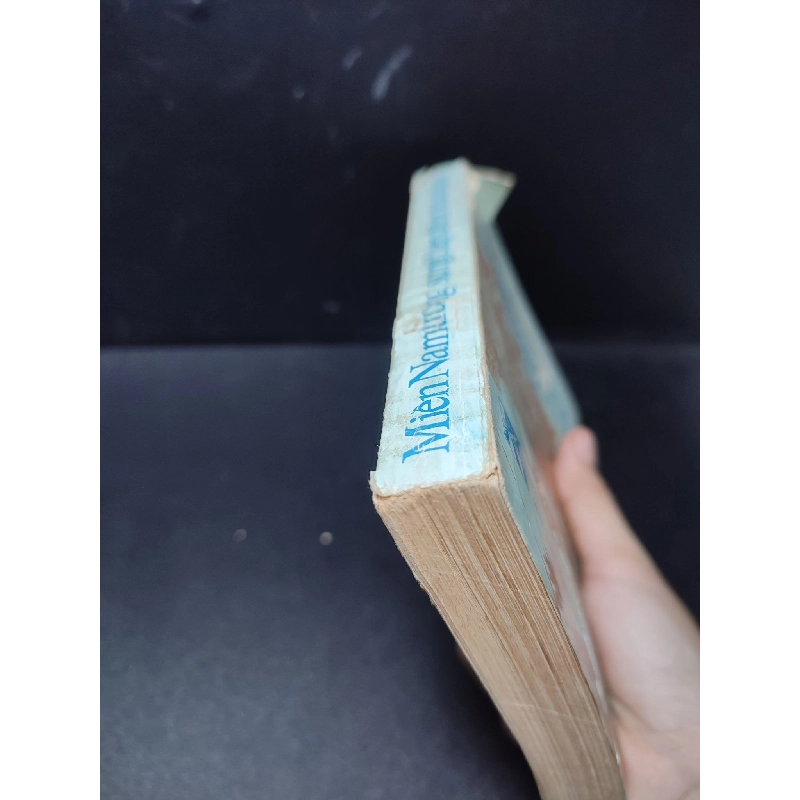 Miền Nam trong sự nghiệp đổi mới của cả nước 1990 Ủy ban Khoa học Xã hội Việt Nam mới 70% ố rách bìa nhẹ HCM2810 912580