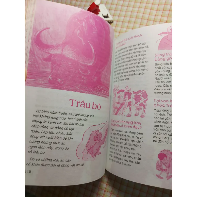 ĐỘNG VẬT • THẾ GIỚI DIỆU KỲ 782629