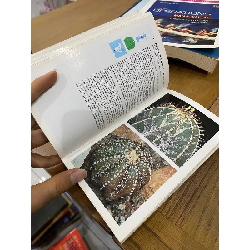 Simon & Schuster’s Guide to Cacti and Succulents 563535