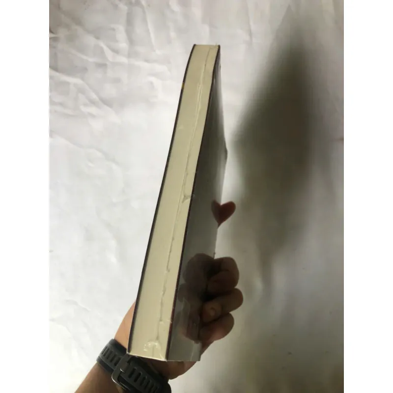 Dưới Cánh Đại Bàng - Hoàng Yến 1007162