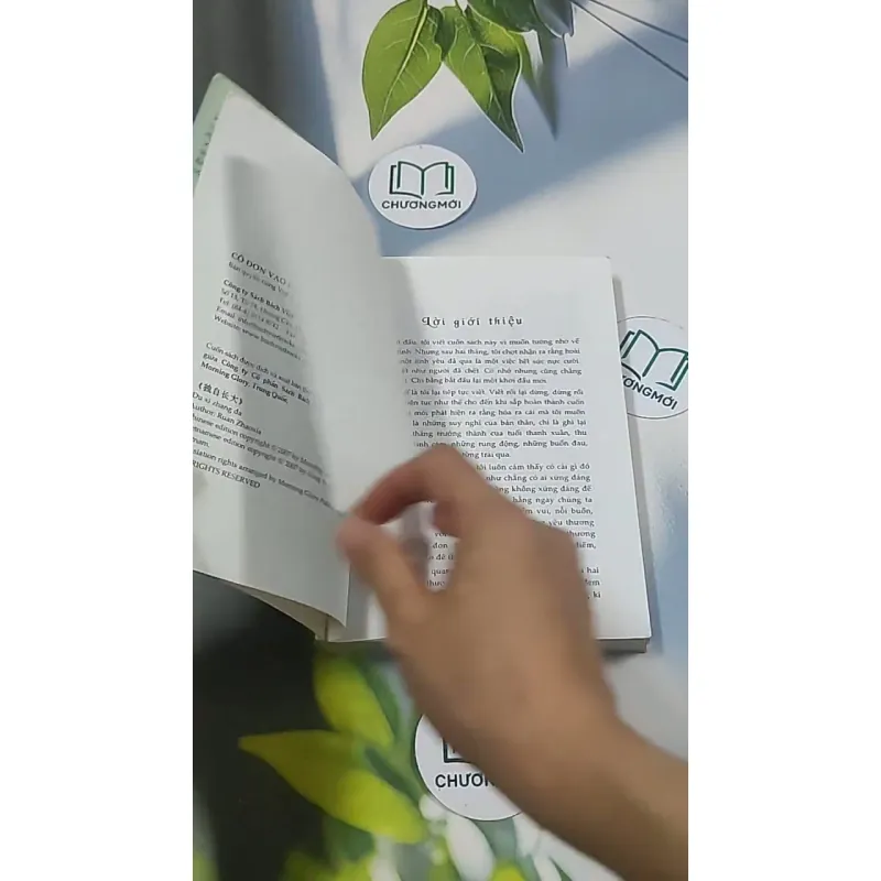 Cô đơn vào đời - Dịch Phấn Hàn 694970