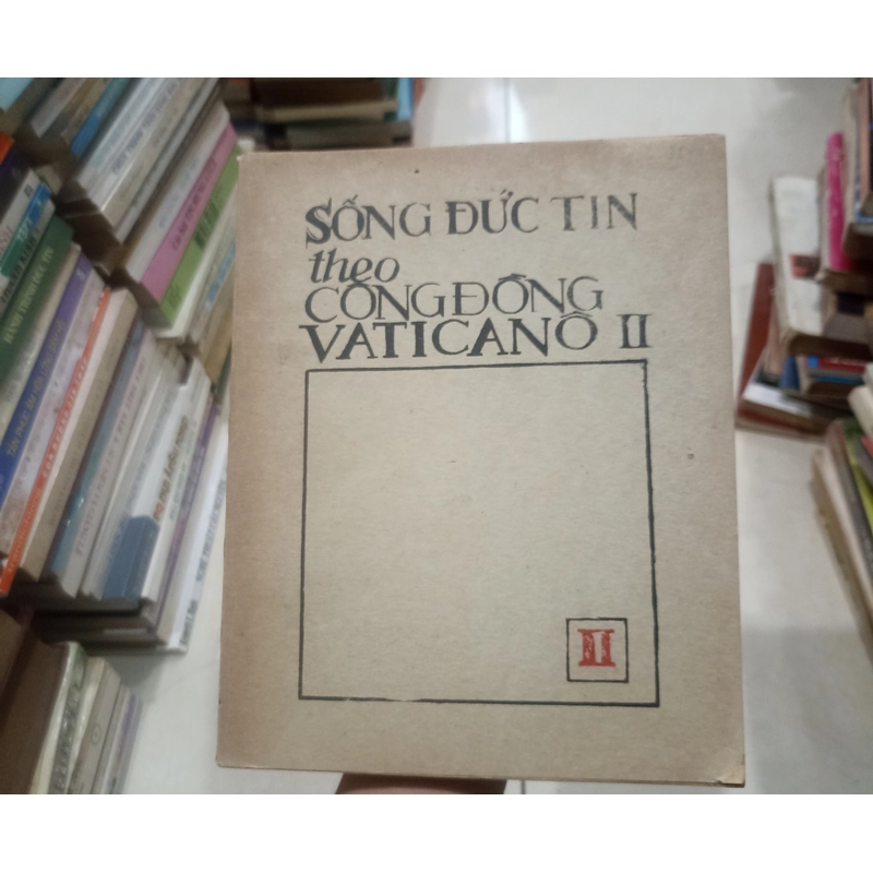Sống đức tin theo cộng đồng Vaticanô II 🌻 539723
