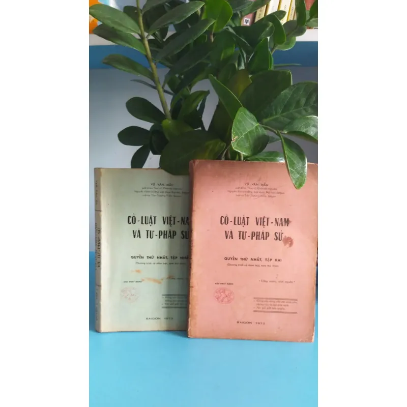 CỔ LUẬT VIỆT NAM VÀ TƯ PHÁP SỬ DIỄN GIẢNG - VŨ VĂN MẪU 756964