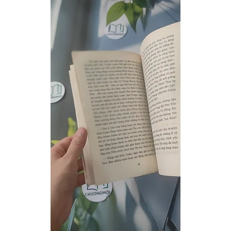 Dạ, Thưa Thầy - Phan Hoàng 928525