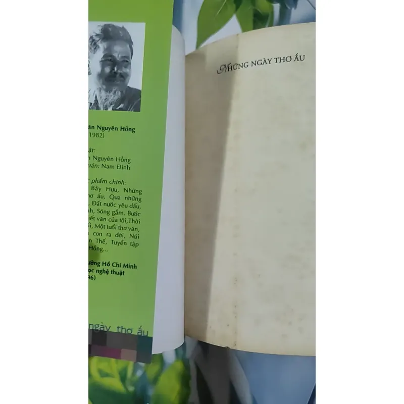 Những ngày thơ ấu - Nguyên Hồng 798507