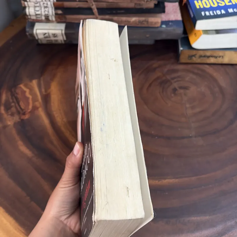 II Sách Ngoại Văn (Tiếng Hà Lan): In Het Geheim - David Baldacci 1040987