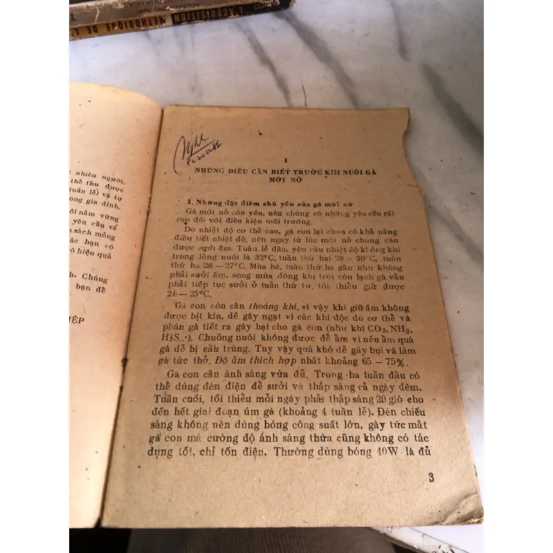 Úm gà con - Đào Đức Long 992598