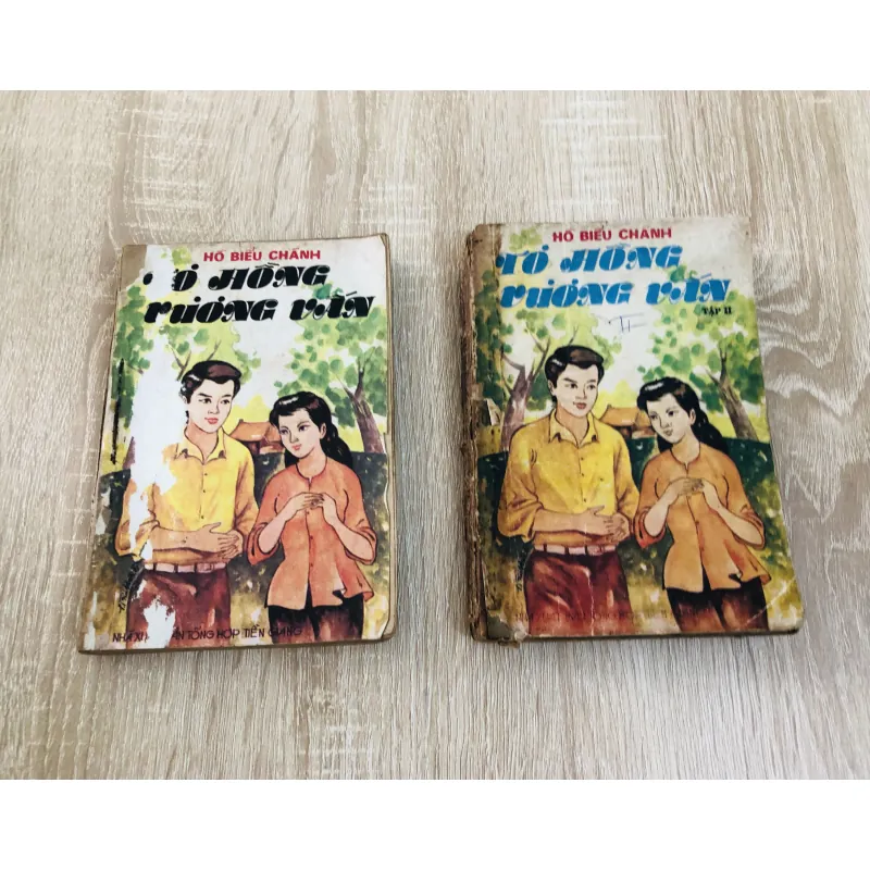 TƠ HỒNG VƯƠNG VẤN – Hồ Biểu Chánh (đủ 2 tập) 960041