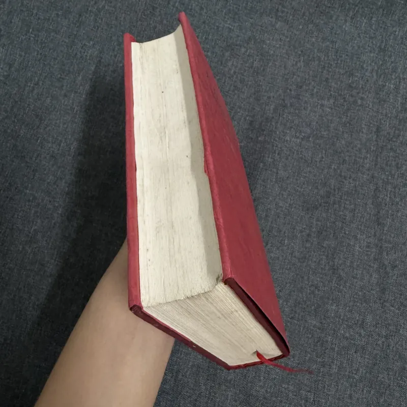 Gã khờ - Fyodor Dostoevsky 753627